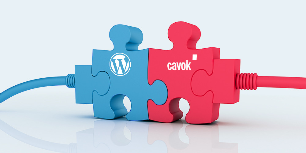 How Cavok Digital Asset Management optimises working with WordPress