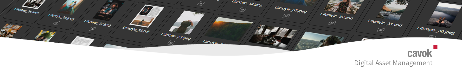 Cavok Digital Asset Management