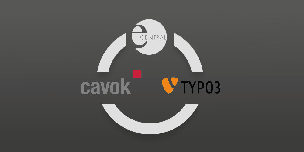 How the new TYPO3 DAM interface makes working with Cavok easier and more flexible