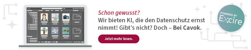 Jetzt mehr lesen