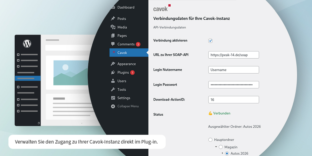 Verwalten Sie den Zugang zu Ihrer Cavok-Instanz direkt im Plug-in.