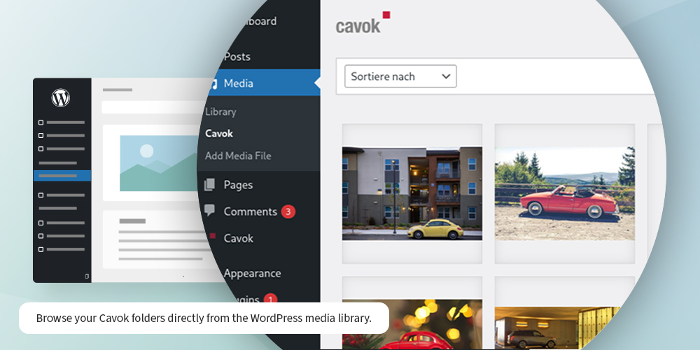 Browse your Cavok folders directly from the WordPress media library.