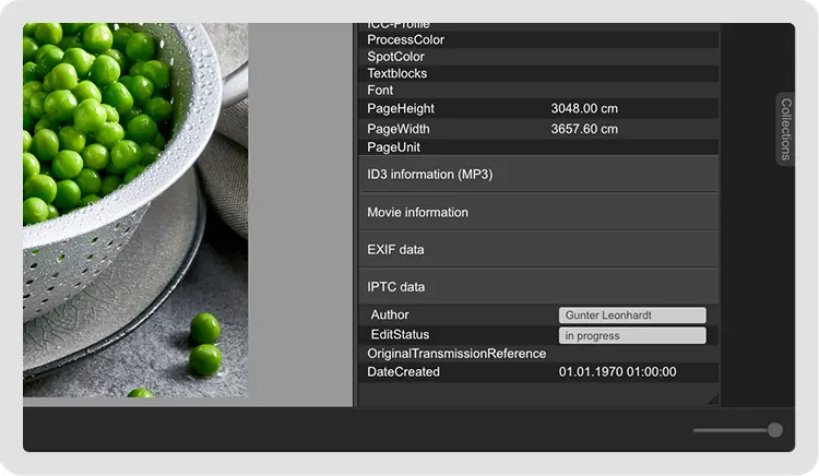 Professionelles Arbeiten mit dem Exif, IPTC oder XMP Standard