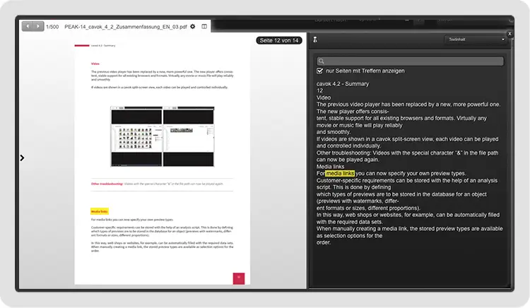 Text search in PDFs, InDesign and Office applications