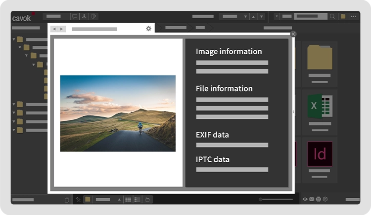 Automatic assignment of metadata