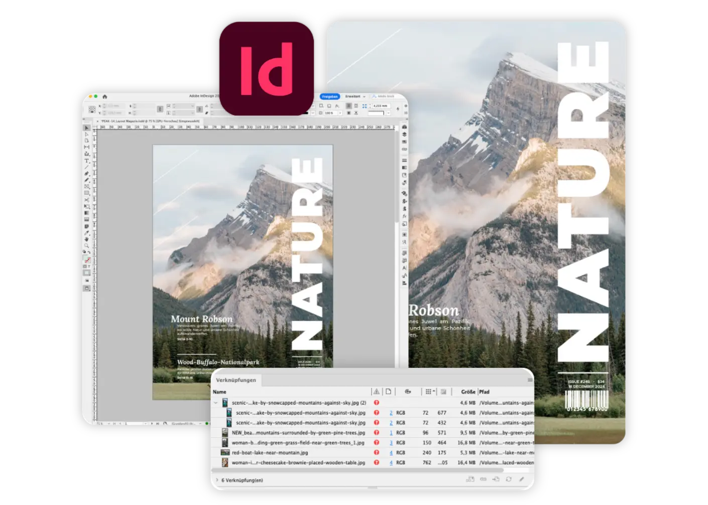 Indesign Plugin